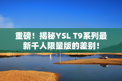 重磅！揭秘YSL T9系列最新千人限量版的差别！