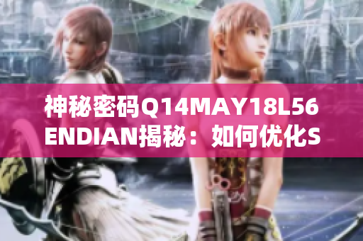 神秘密码Q14MAY18L56ENDIAN揭秘：如何优化SEO并提高网站流量？
