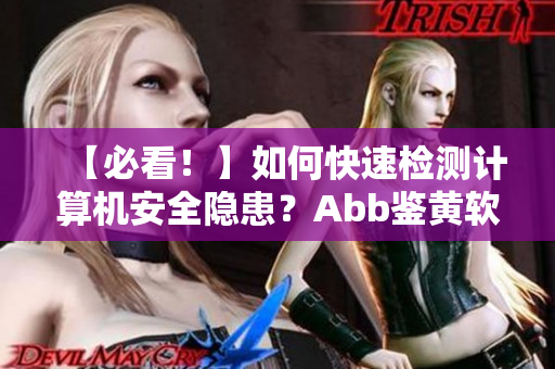 【必看！】如何快速检测计算机安全隐患？Abb鉴黄软件助你一键排查！