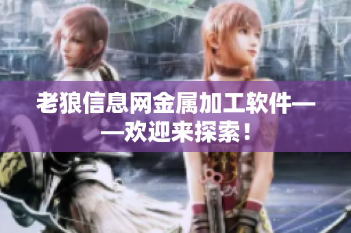 老狼信息网金属加工软件——欢迎来探索！