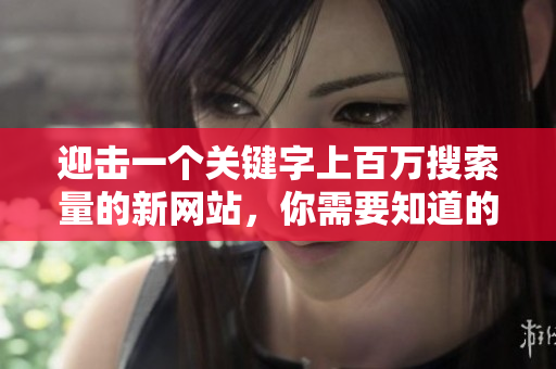 迎击一个关键字上百万搜索量的新网站，你需要知道的所有SEO技巧