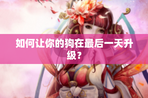 如何让你的狗在最后一天升级？