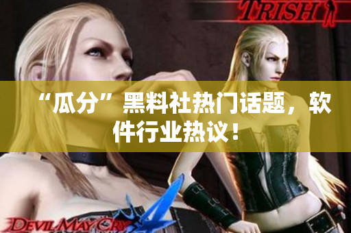 “瓜分”黑料社热门话题，软件行业热议！