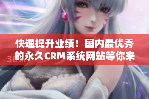 快速提升业绩！国内最优秀的永久CRM系统网站等你来选！
