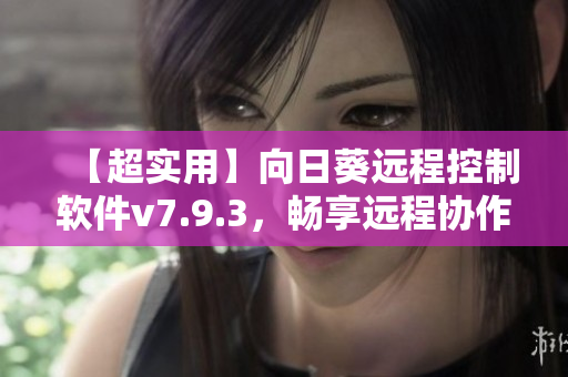 【超实用】向日葵远程控制软件v7.9.3，畅享远程协作之乐！