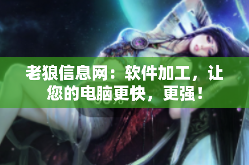 老狼信息网：软件加工，让您的电脑更快，更强！