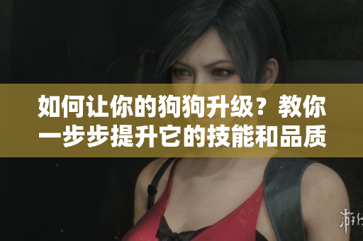 如何让你的狗狗升级？教你一步步提升它的技能和品质！