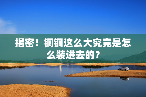 揭密！铜铜这么大究竟是怎么装进去的？