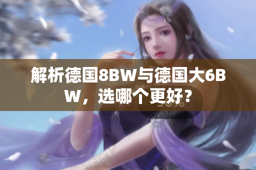 解析德国8BW与德国大6BW，选哪个更好？