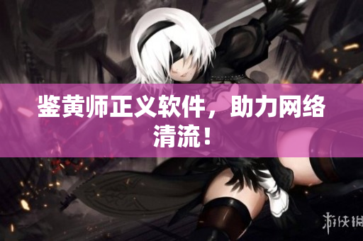 鉴黄师正义软件，助力网络清流！