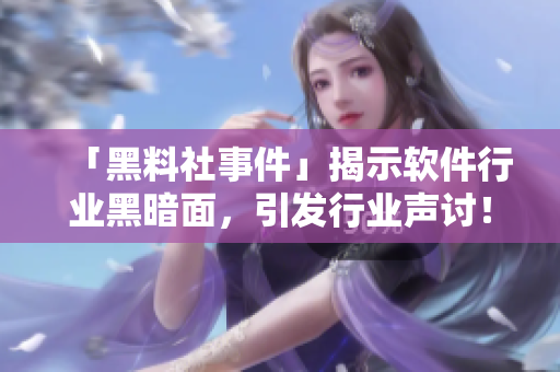 「黑料社事件」揭示软件行业黑暗面，引发行业声讨！