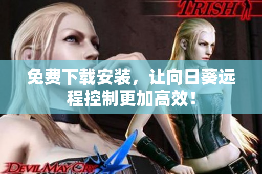免费下载安装，让向日葵远程控制更加高效！
