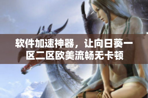 软件加速神器，让向日葵一区二区欧美流畅无卡顿