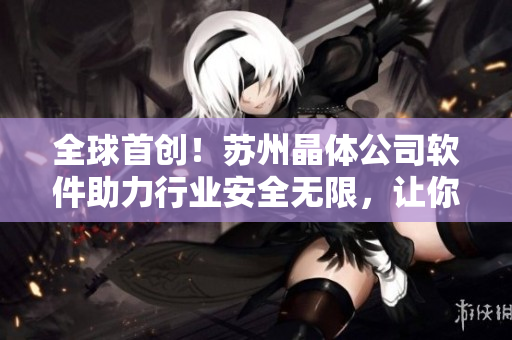 全球首创！苏州晶体公司软件助力行业安全无限，让你放心上网