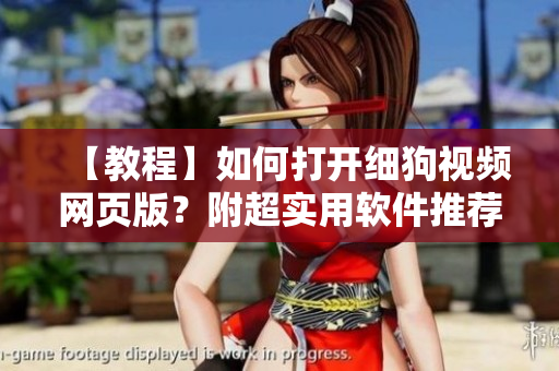 【教程】如何打开细狗视频网页版？附超实用软件推荐！