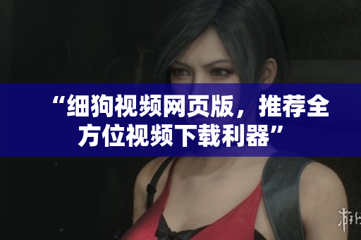 “细狗视频网页版，推荐全方位视频下载利器”