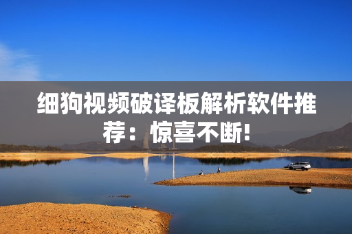 细狗视频破译板解析软件推荐：惊喜不断!
