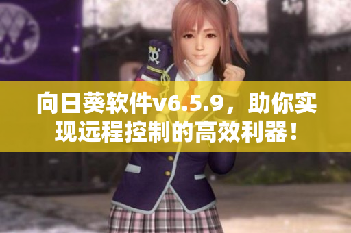 向日葵软件v6.5.9，助你实现远程控制的高效利器！