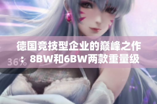 德国竞技型企业的巅峰之作：8BW和6BW两款重量级产品