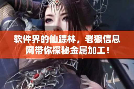 软件界的仙踪林，老狼信息网带你探秘金属加工！