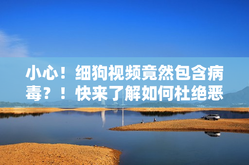 小心！细狗视频竟然包含病毒？！快来了解如何杜绝恶意软件！