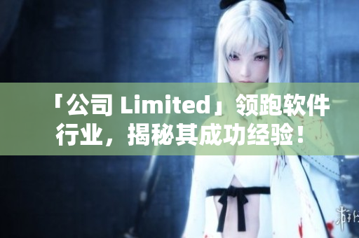 「公司 Limited」领跑软件行业，揭秘其成功经验！
