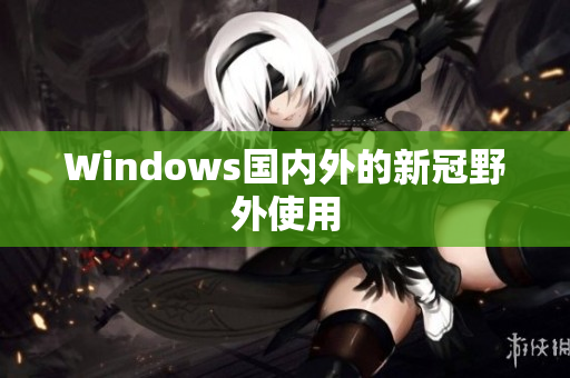 Windows国内外的新冠野外使用