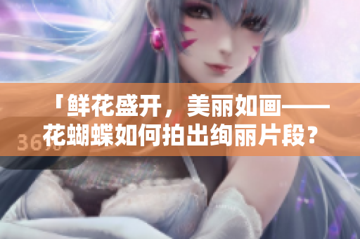 「鲜花盛开，美丽如画——花蝴蝶如何拍出绚丽片段？」