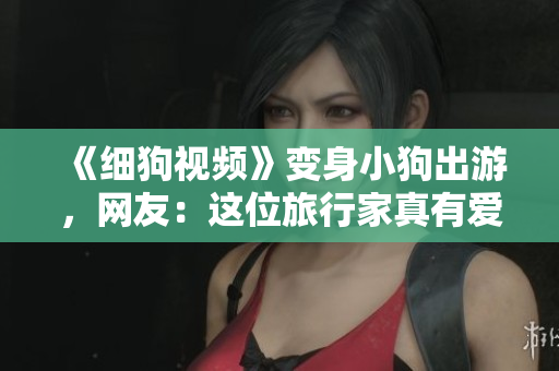 《细狗视频》变身小狗出游，网友：这位旅行家真有爱！