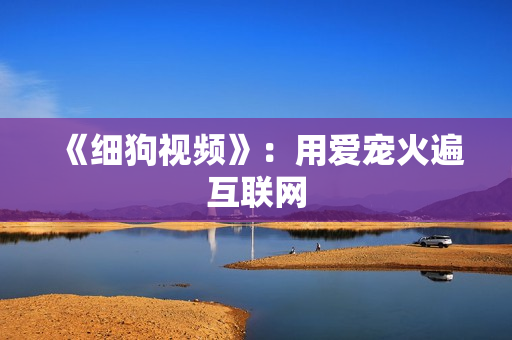 《细狗视频》：用爱宠火遍互联网