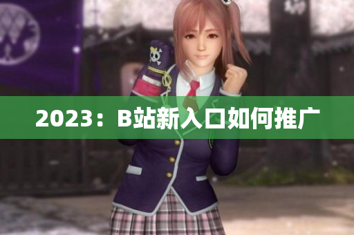 2023：B站新入口如何推广