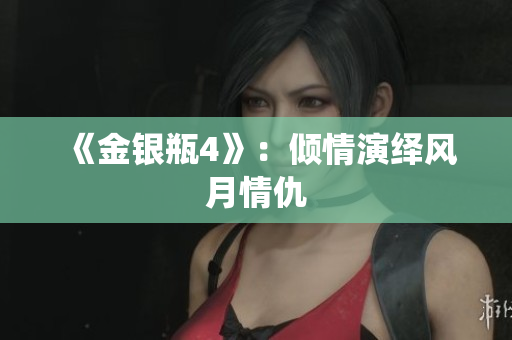 《金银瓶4》：倾情演绎风月情仇