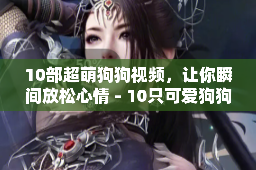 10部超萌狗狗视频，让你瞬间放松心情 - 10只可爱狗狗视频，让你放松身心