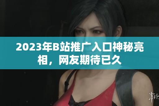 2023年B站推广入口神秘亮相，网友期待已久