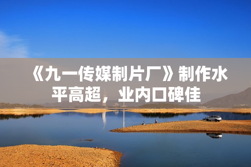 《九一传媒制片厂》制作水平高超，业内口碑佳