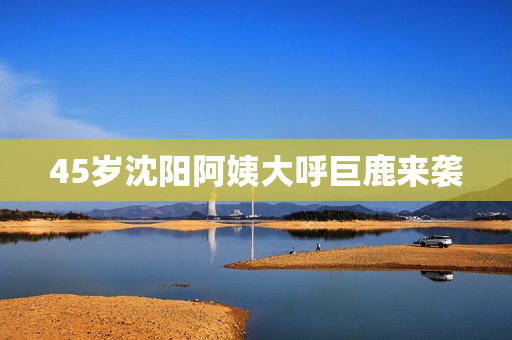 45岁沈阳阿姨大呼巨鹿来袭