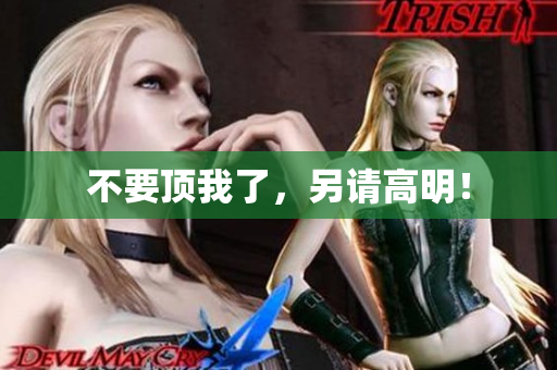 不要顶我了，另请高明！