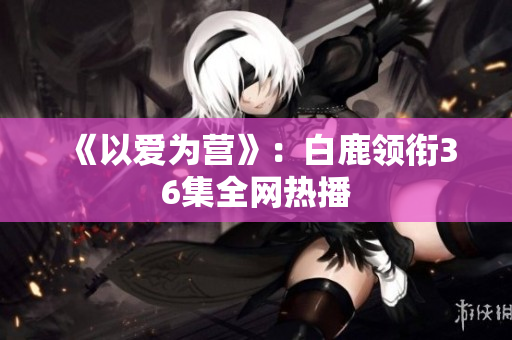 《以爱为营》：白鹿领衔36集全网热播