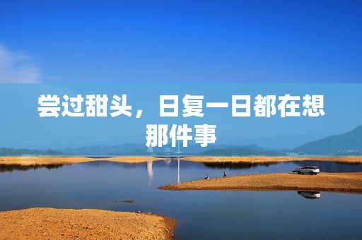 尝过甜头，日复一日都在想那件事