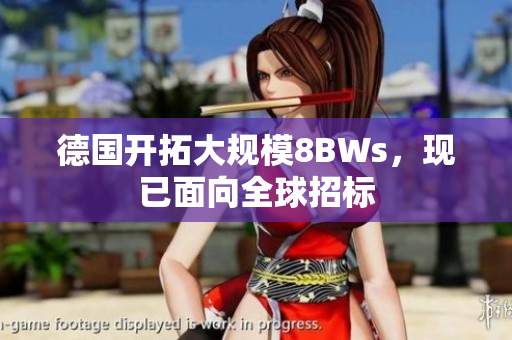 德国开拓大规模8BWs，现已面向全球招标