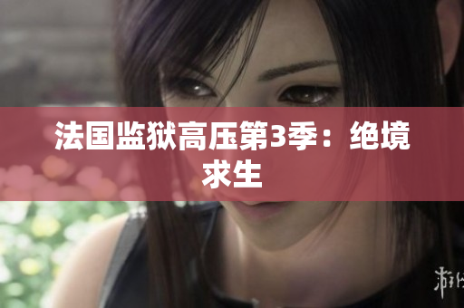 法国监狱高压第3季：绝境求生