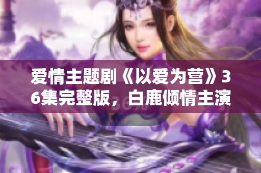 爱情主题剧《以爱为营》36集完整版，白鹿倾情主演