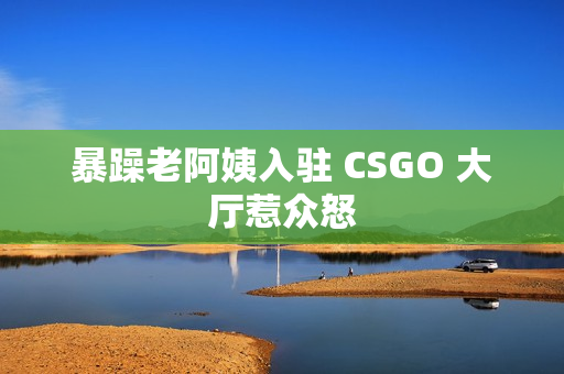 暴躁老阿姨入驻 CSGO 大厅惹众怒