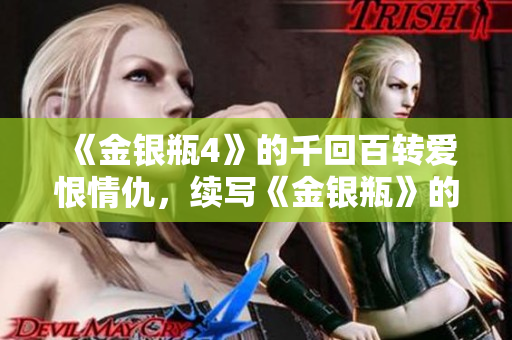 《金银瓶4》的千回百转爱恨情仇，续写《金银瓶》的精彩故事