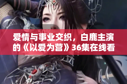 爱情与事业交织，白鹿主演的《以爱为营》36集在线看