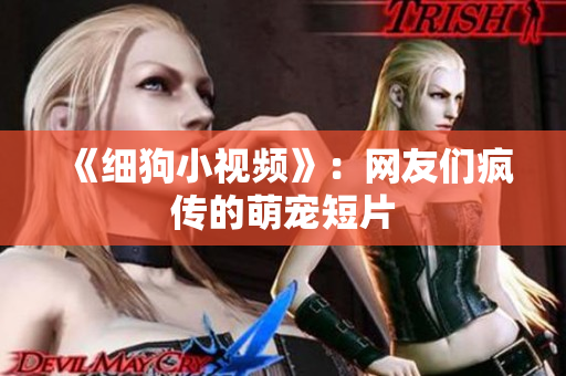 《细狗小视频》：网友们疯传的萌宠短片