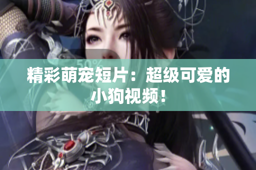 精彩萌宠短片：超级可爱的小狗视频！