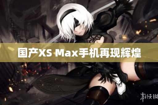 国产XS Max手机再现辉煌