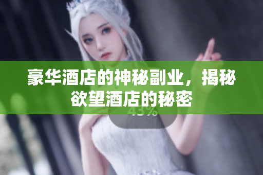豪华酒店的神秘副业，揭秘欲望酒店的秘密
