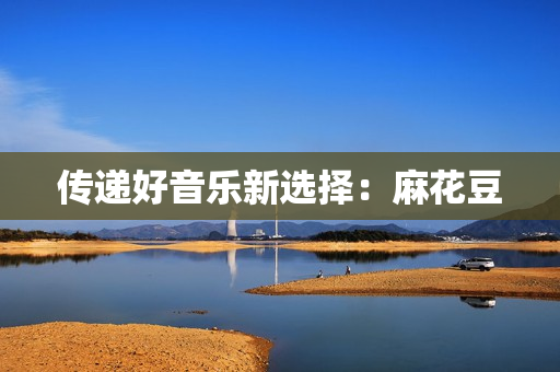 传递好音乐新选择：麻花豆